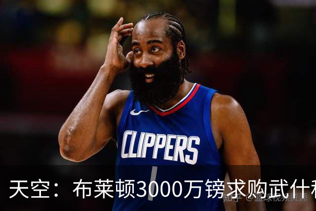 天空：布莱顿3000万镑求购武什科维奇，预计热刺对其估值超6000万
